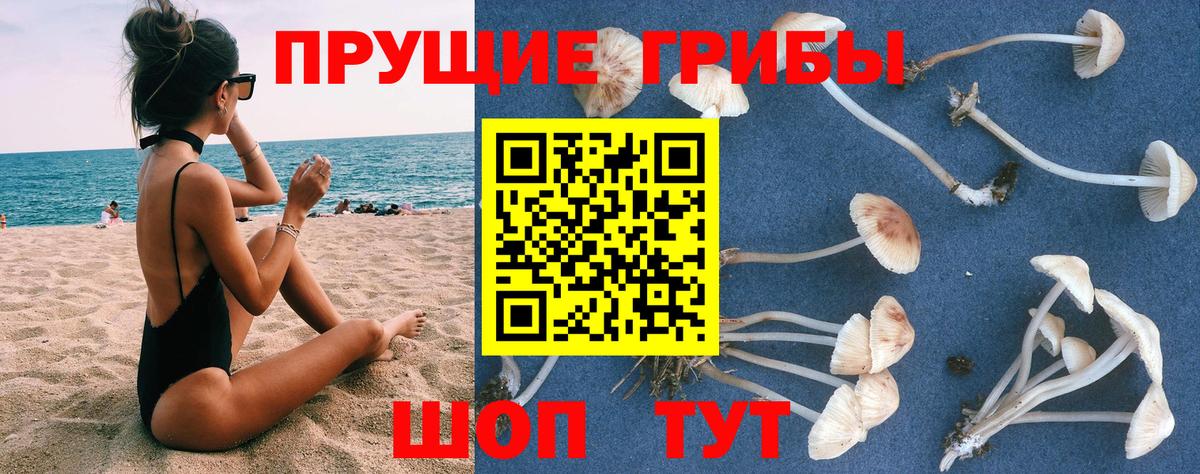 Псилоцибиновые грибы Psilocybe  Вход с VPN  Борзя  Галлюциногенные грибы GOLDEN TEACHER 